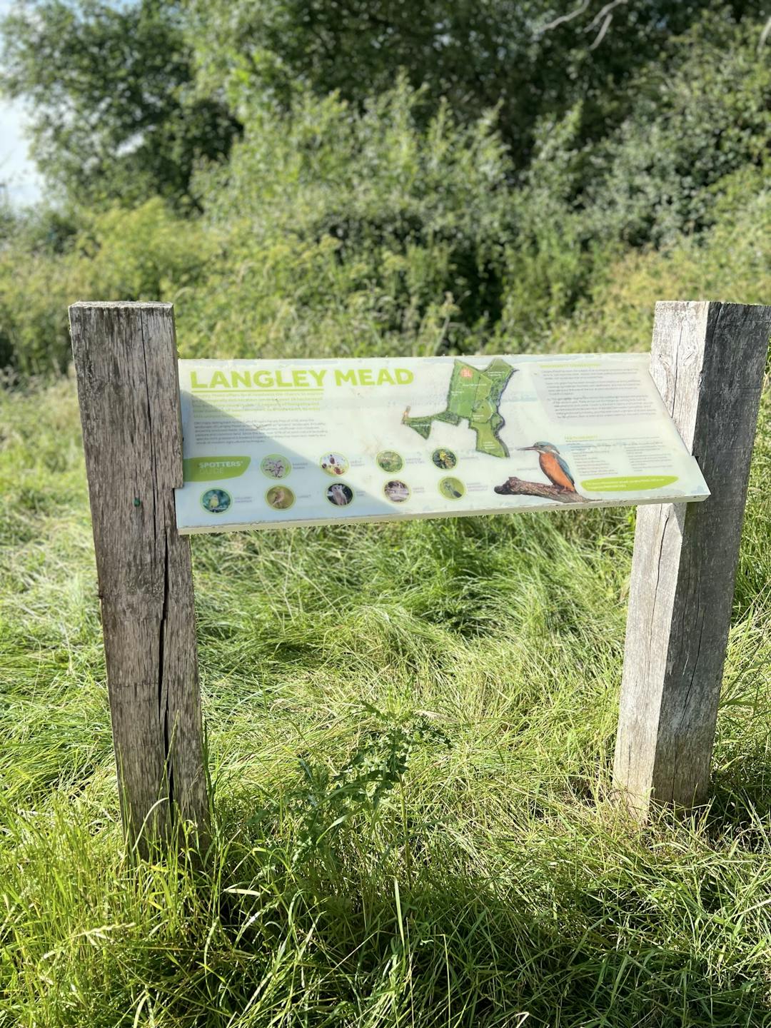 Langley Mead Nature Reserve  - image 1