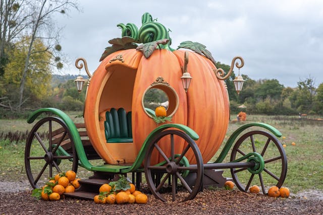 Wasing Pick Your Own Pumpkins, Woodland Trail & Maize Maze