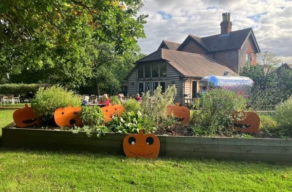 Pumpkin Fair