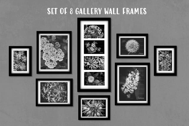 Julia Morrison Photography Wall Art